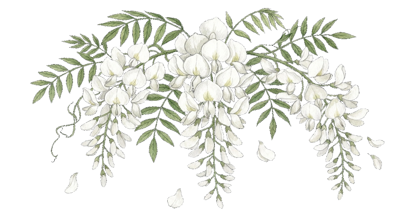 Naissance Aquarelle