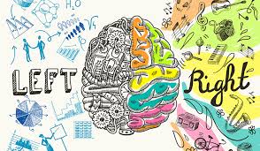 De la surcharge numérique à l'étincelle du mouvement — Brain Gym au quotidien